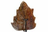 Polished Petrified Wood (Araucaria) Leaf with Stand - Madagascar #339448-4